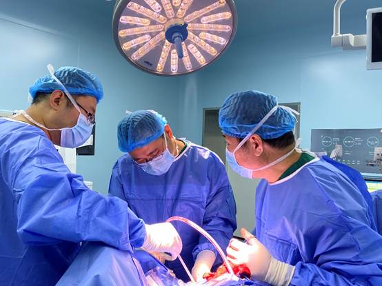 clip_image004.jpg clip_image004.jpg