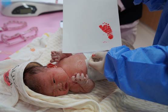 clip_image006.jpg clip_image006.jpg